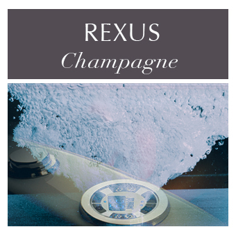 1ok-kafelek-1-rexus-szampan